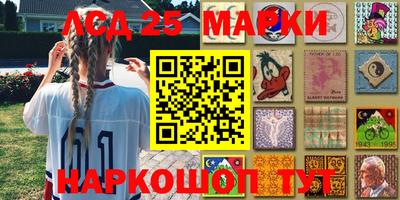 гашик Кудрово