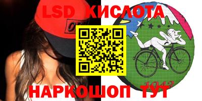 гашик Кудрово