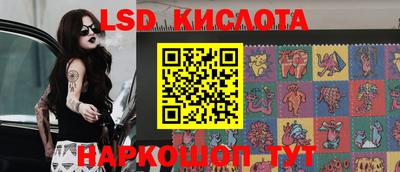 гашик Кудрово