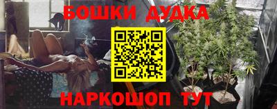 гашик Кудрово