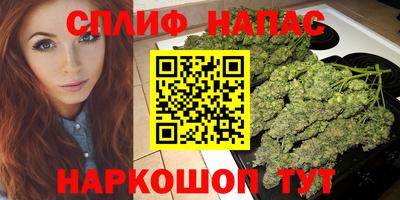 гашик Кудрово