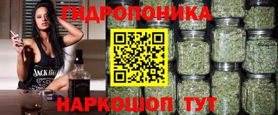 гашик Кудрово