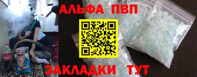гашик Кудрово