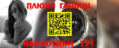 гашик Кудрово