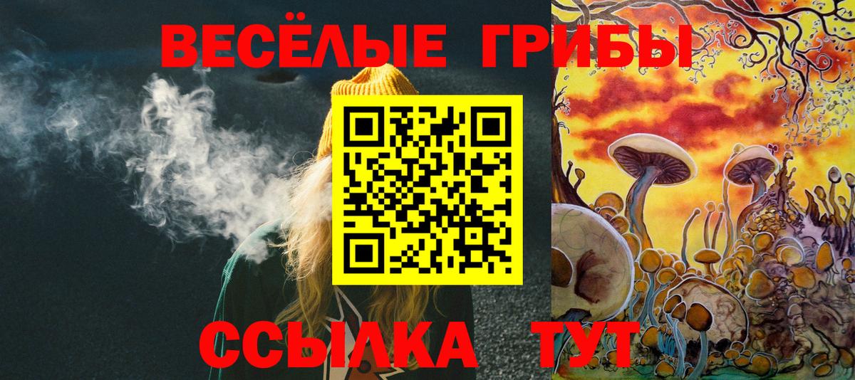 Сертолово  Галлюциногенные грибы GOLDEN TEACHER  Вход с VPN 