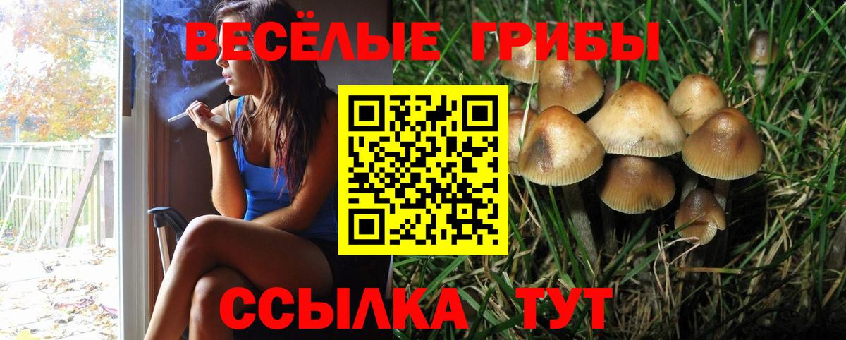 Псилоцибиновые грибы ЛСД Сертолово